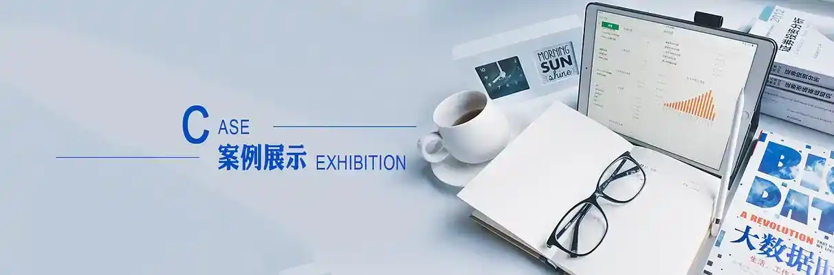 右江区软件开发